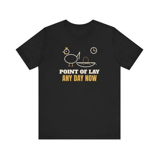 Point Of Lay Any Day Now Tee