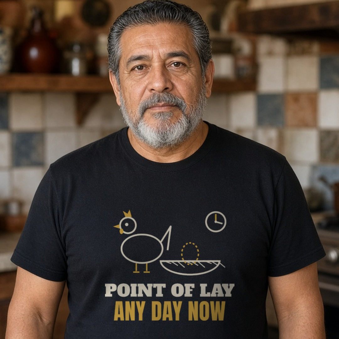Point Of Lay Any Day Now Tee